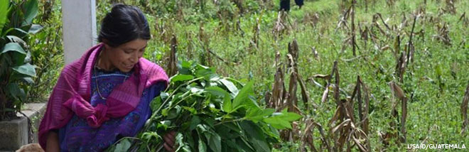 Guatemalan woman outside holding a lot of leafy greens.