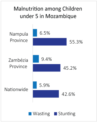  stunting 55.3%, wasting 6.5%.