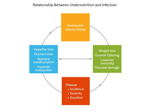 cycle of infection and nutrition