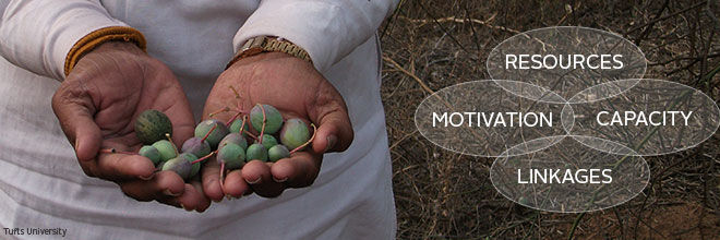 Pair of hands holding green berries. Resources. Capacity. Motivation. Linkages.