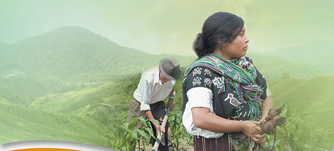 people farming in the hills