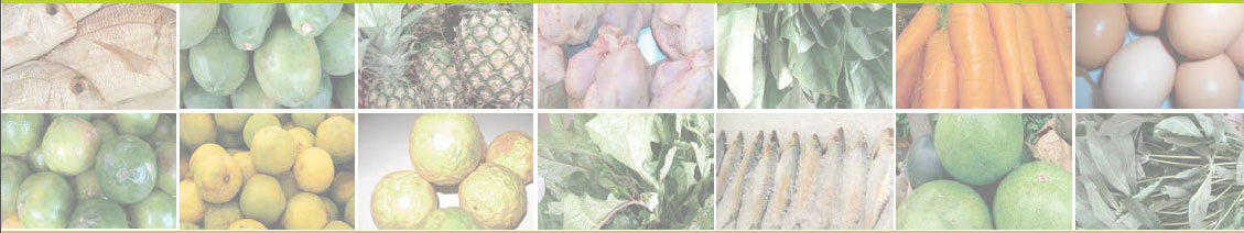 various vegetables and produce