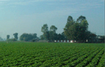 house on edge of green fields