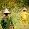 © 2012 Gloria Senaris, Courtesy of Photoshare. Women walk to work in the fields in Laos.