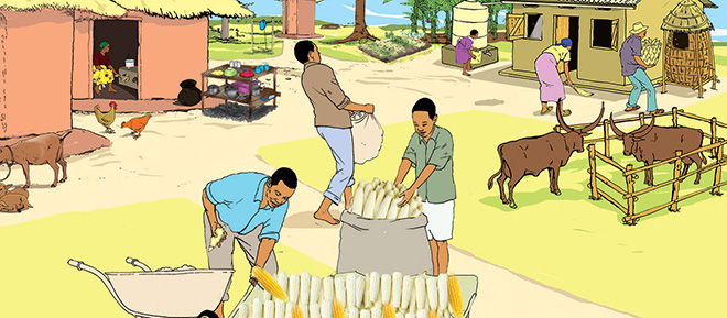 illustration of villagers transferring corn
